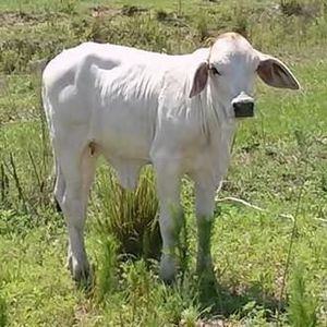 Meet your Posher, Sonja